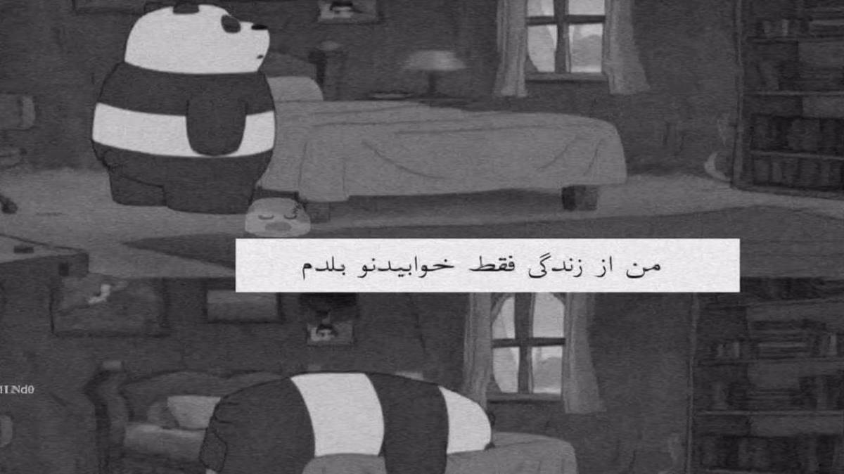  پس کافی ام بگیرم شماره ی دافی ام بگیرم